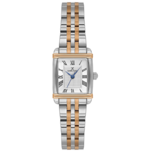 Daniel Klein DK.1.14115-6 Ladies’ Premium Luxury Watch – Sleek Silver Dial with Elegant Rose Gold & Silver Steel Chain - Image 1
